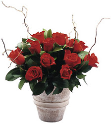 Red Rose Arrangement from Flowers All Over.com 