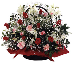 Japan- Christmas Arrangement from Flowers All Over.com 