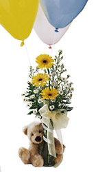 Welcome Bear Bouquet from Flowers All Over.com 