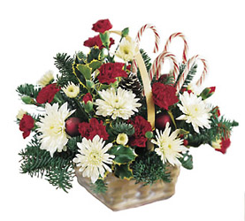 Candy Cane Lane Arrangement from Flowers All Over.com 
