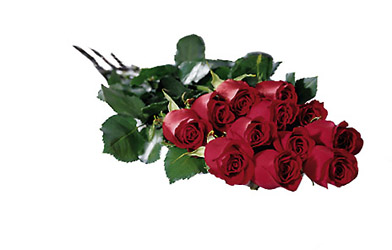 Red Roses - Boxed from Flowers All Over.com 