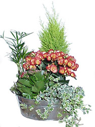 Luxembourg-Arrangement of Plants from Flowers All Over.com 