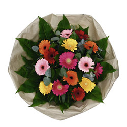 Netherlands- Bouquet of  Mixed Gereberas  from Flowers All Over.com 