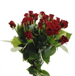 Netherlands- Bouquet of Red Roses from Flowers All Over.com 