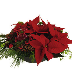 Norway- Christmas Arrangement from Flowers All Over.com 
