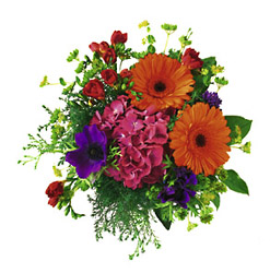 Norway- Mixed Cut Flowers from Flowers All Over.com 