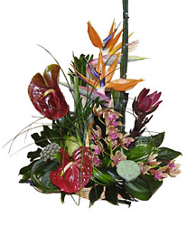 Portugal- Cut Flower Arrangement from Flowers All Over.com 