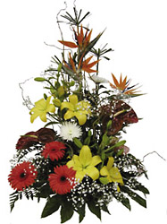 Arrangement of Mixed Cut Flowers from Flowers All Over.com 