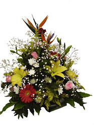 Arrangement of Mixed Cut Flowers from Flowers All Over.com 