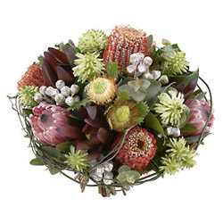 Australian Native Bouquet from Flowers All Over.com 