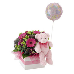It's a Girl! Flowers, Bear & Balloon from Flowers All Over.com 