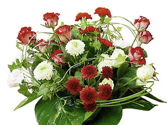 Celebration Arrangement from Flowers All Over.com 