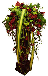 Royal Flower Arrangement from Flowers All Over.com 