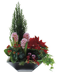 Sweden- Christmas Arrangement from Flowers All Over.com 