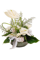 Turkey- Cut Flower Arrangement from Flowers All Over.com 