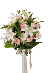 Turkey- Plant Arrangement from Flowers All Over.com 