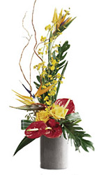 Tropical Bright Arrangement from Flowers All Over.com 