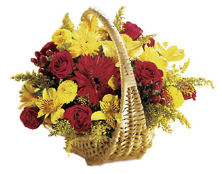 Crescendo of Color Bouquet from Flowers All Over.com 