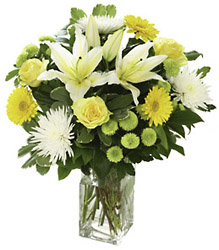 Simply Stylish Hand tied (yellow)  from Flowers All Over.com 