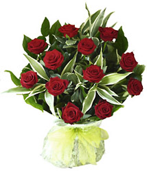 12 Red Roses Hand tied (no vase) from Flowers All Over.com 