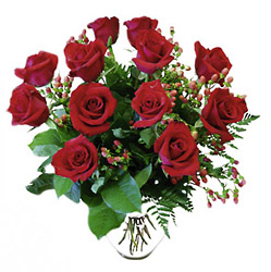 12 Red Roses from Flowers All Over.com 
