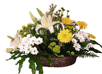 Egypt- Arrangment of Cut Flowers from Flowers All Over.com 