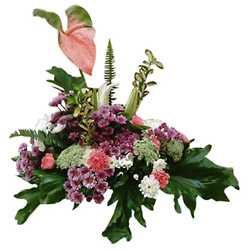 Egypt- Arrangment of Cut Flowers from Flowers All Over.com 