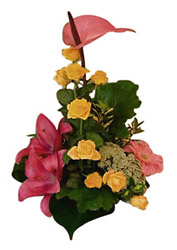 Egypt- Arrangment of Cut Flowers from Flowers All Over.com 