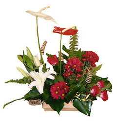 Egypt- Arrangment of Cut Flowers from Flowers All Over.com 