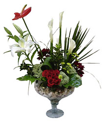 Egypt- Arrangment of Cut Flowers from Flowers All Over.com 