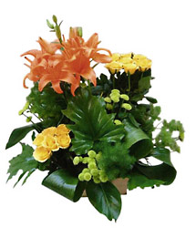 Egypt- Arrangment of Cut Flowers from Flowers All Over.com 