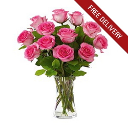 12 Pink Roses <BR><B>FREE NEXT DAY DELIVERY from Flowers All Over.com