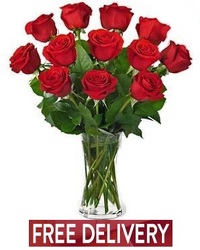Long Stem Red Roses<BR><B>FREE NEXT DAY DELIVERY from Flowers All Over.com 