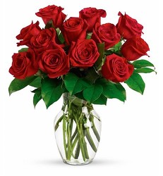 <b>Red Roses with Free Vase<br>Free Delivery from Flowers All Over.com 