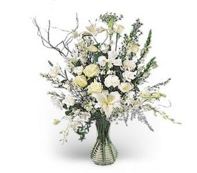 Rhapsody in White<b> from Flowers All Over.com 