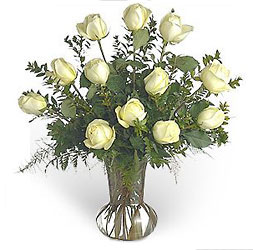 Valentines White Roses<br><b>Florist Delivered from Flowers All Over.com 