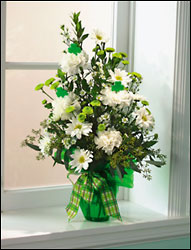 Irish Eyes Are Smiling!<br><b>FREE DELIVERY from Flowers All Over.com 