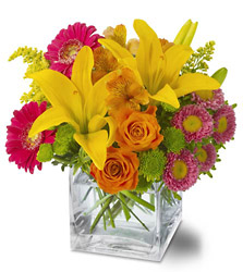 Season's Best<b> from Flowers All Over.com 