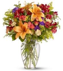 Classic Celebration<b> from Flowers All Over.com 