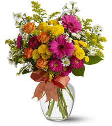 Color Sensation<b> from Flowers All Over.com 