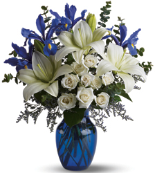 Blue Horizons<b> from Flowers All Over.com 