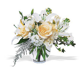 Winter's Glory from Flowers All Over.com