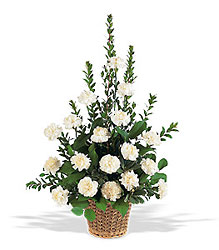 Simple Sentiments<br><b>FREE DELIVERY from Flowers All Over.com