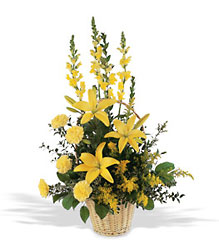 Summer Sunshine from Flowers All Over.com 