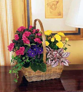 Nature's Garden Basket<b> from Flowers All Over.com 