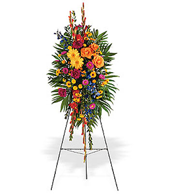Contemporary Expressions<br><b>FREE DELIVERY from Flowers All Over.com 