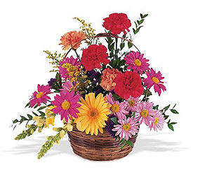 Basket of Solace<b> from Flowers All Over.com 