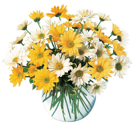 Bowl of Happiness<b> from Flowers All Over.com 