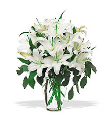 Purity Defined<b> from Flowers All Over.com 