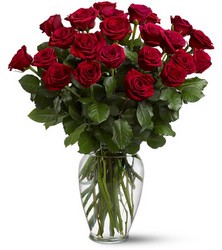 Valentines Day<br>Two Dozen Red Roses<b> from Flowers All Over.com 